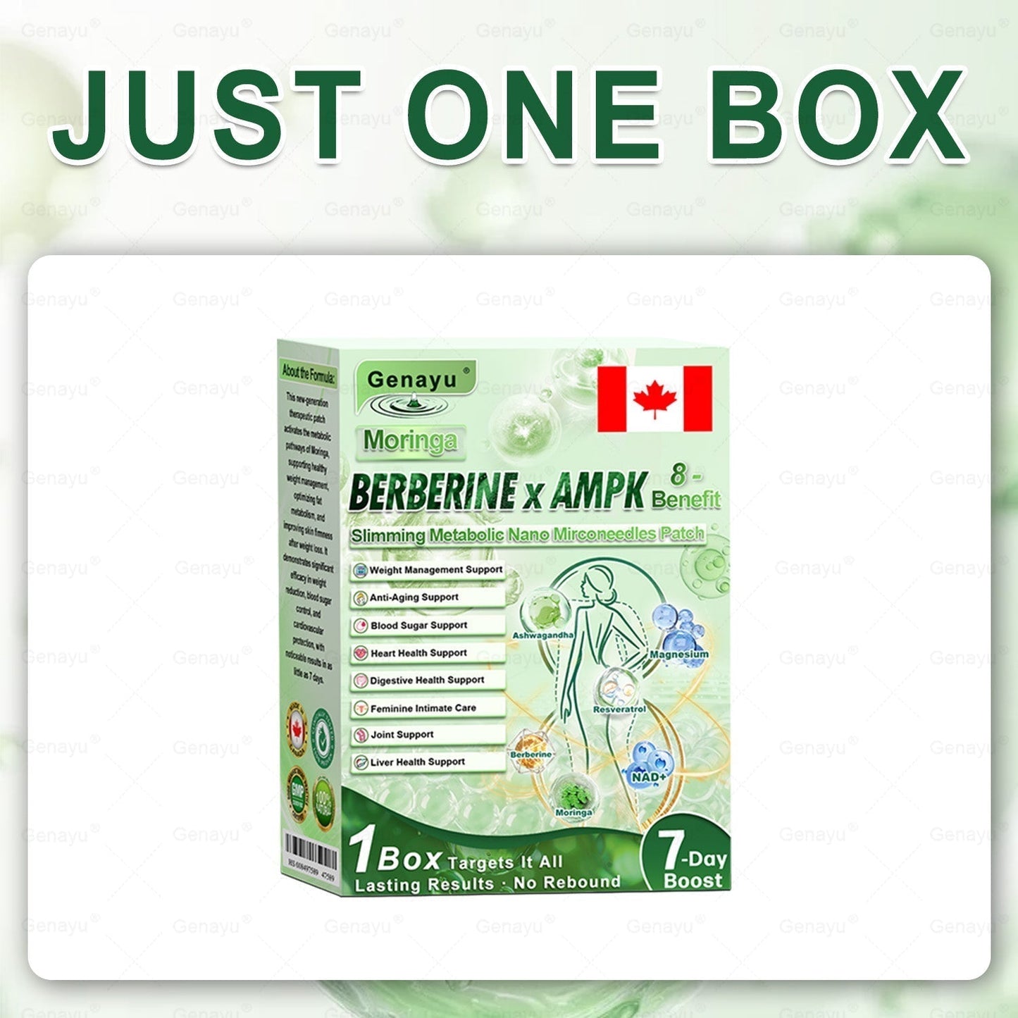 𝐆𝐞𝐧𝐚𝒚𝒖® 𝐌𝐨𝐫𝐢𝐧𝐠𝐚 𝐱 𝐁𝐞𝐫𝐛𝐞𝐫𝐢𝐧𝐞 𝐱 𝐀𝐌𝐏𝐊 𝟖-𝐁𝐞𝐧𝐞𝐟𝐢𝐭 𝑺𝒍𝒊𝒎𝒎𝒊𝒏𝒈 & 𝑴𝒆𝒕𝒂𝒃𝒐𝒍𝒊𝒄 𝑵𝒂𝒏𝒐 𝑴𝒊𝒄𝒓𝒐𝒏𝒆𝒆𝒅𝒍𝒆 𝑷𝒂𝒕𝒄𝒉🇨🇦(𝐉𝐮𝐬𝐭 𝐨𝐧𝐜𝐞 𝐚 𝐝𝐚𝐲, 𝐯𝐢𝐬𝐢𝐛𝐥𝐞 𝐜𝐡𝐚𝐧𝐠𝐞𝐬 𝐢𝐧 𝟕 𝐝𝐚𝐲𝐬）✅ 𝐅𝐨𝐫 𝐨𝐛𝐞𝐬𝐢𝐭𝐲, 𝗟𝗼𝗼𝘀𝗲 𝘀𝗸𝗶𝗻,𝐝𝐢𝐚𝐛𝐞𝐭𝐞𝐬, 𝐬𝐥𝐞𝐞𝐩 𝐚𝐩𝐧𝐞𝐚, 𝐣𝐨𝐢𝐧𝐭 𝐢𝐬𝐬𝐮𝐞𝐬, 𝐚𝐧𝐝 𝐦𝐨𝐫𝐞 🎈🎈