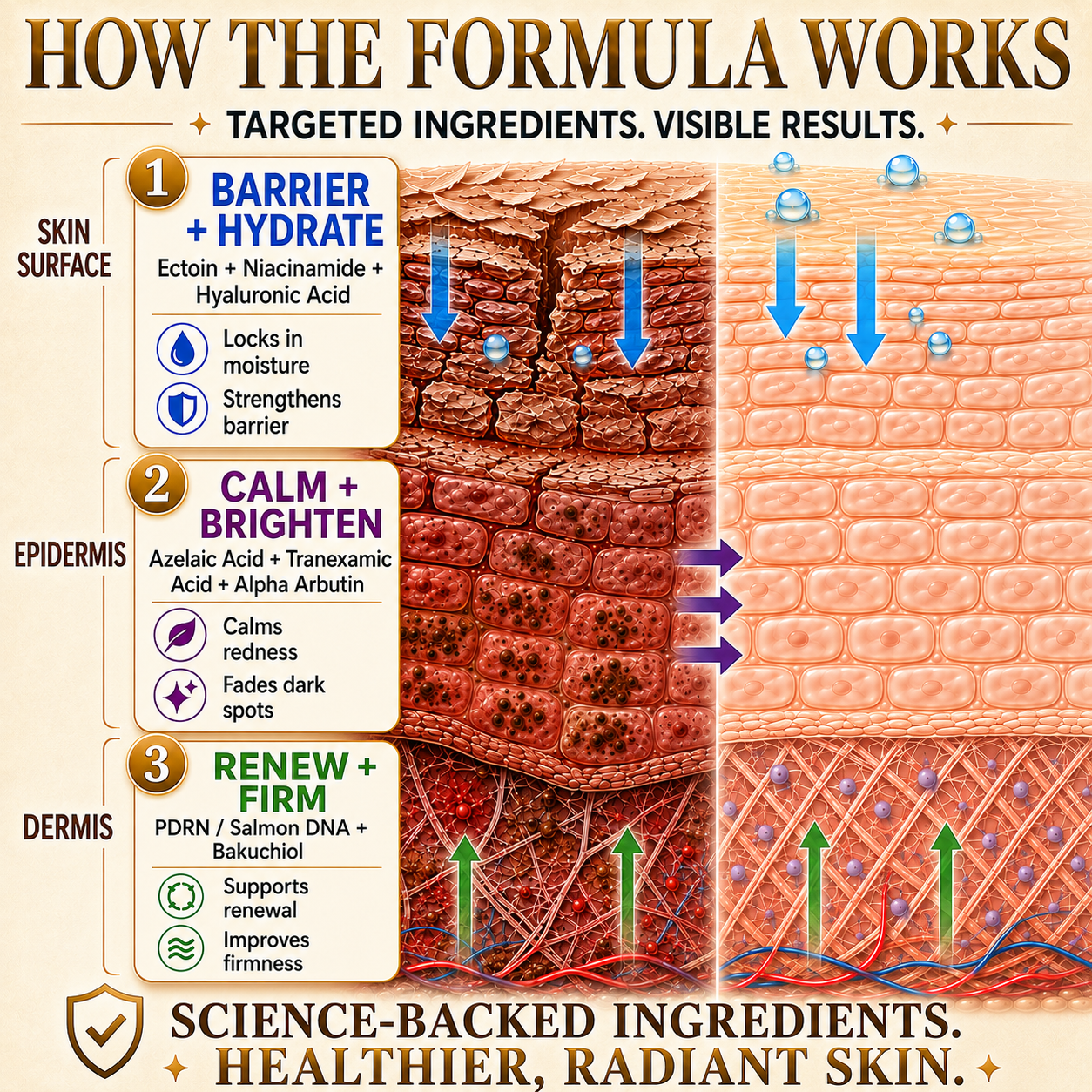 ✨HISKIN® Multi-Concern Skin Repair Cream (One powerful cream to repair inflammation, dryness, aging, pigmentation, and visible skin damage.)
